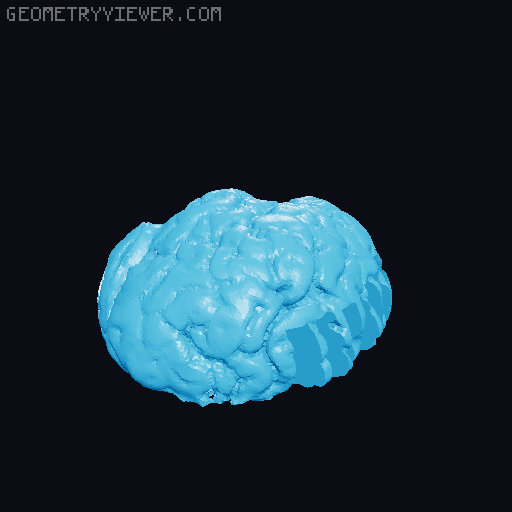 Brain Tea Organizer 3D model thumbnail