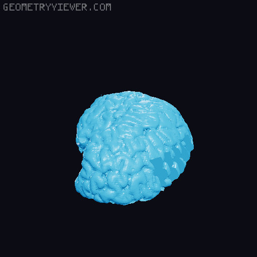 Brain Tea Organizer 3D model thumbnail