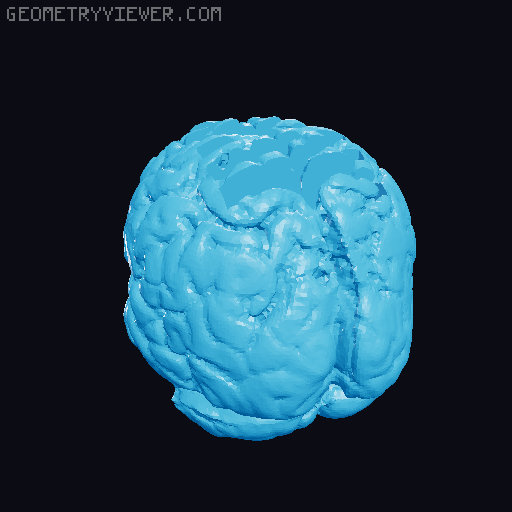 Brain Tea Organizer 3D model thumbnail