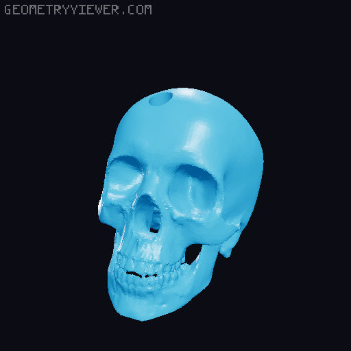 Human Skulls on Spikes (x3) 3D model thumbnail