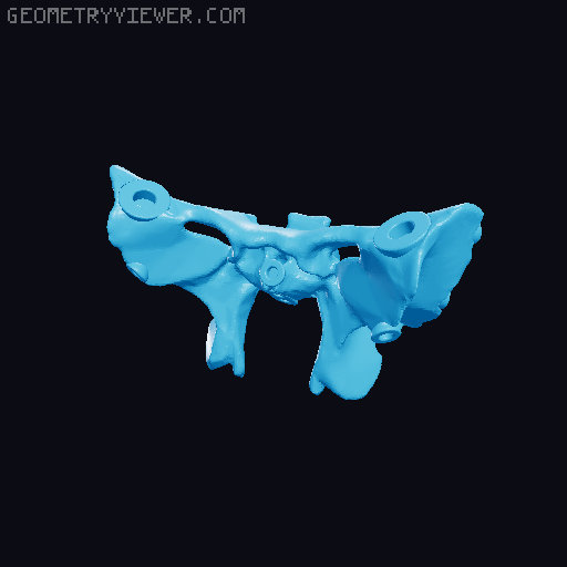 Full Size Anatomically-Correct 18-Piece Magnetic Human Skull Model 3D model thumbnail