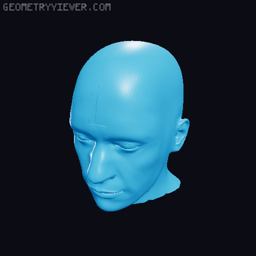 Sizing Heads 3D model thumbnail