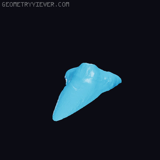 Shark Tooth 3D model thumbnail