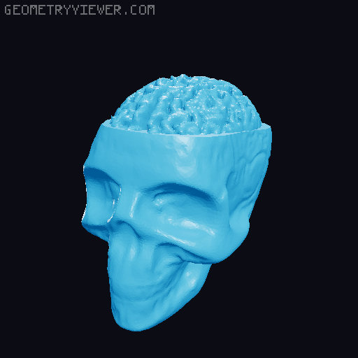 Dummy 13 Skull Head with Exposed Brain resized 250% 3D model thumbnail