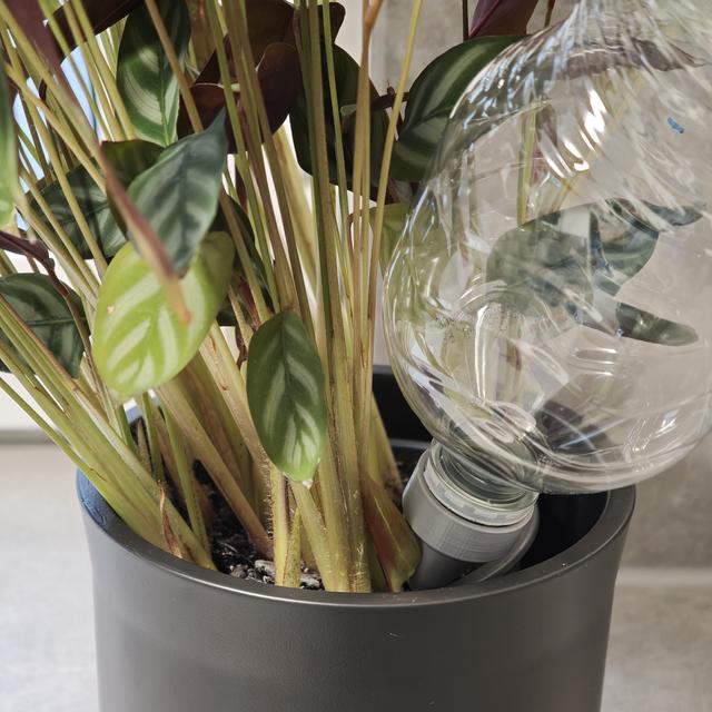 PlantMate - Long-life watering system 3D model thumbnail