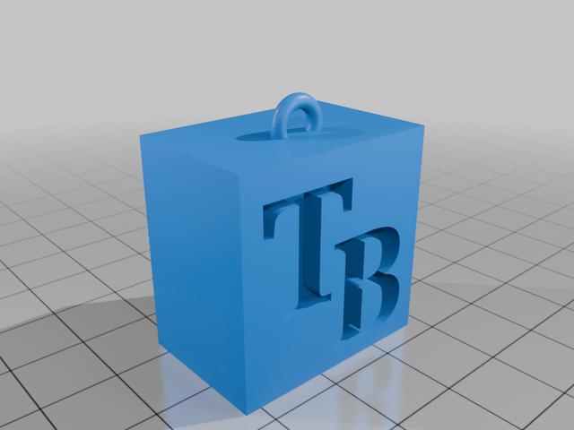 Tampa bay rays logo and keychain 3D model thumbnail