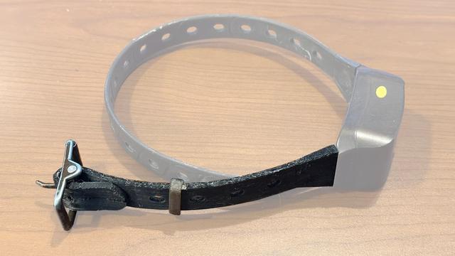 Replacement dog collar for the PATPET Dog Training Collar for Large Dogs 3D model thumbnail