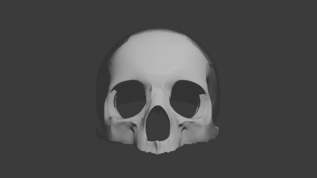 all skulls high poly 3D model thumbnail