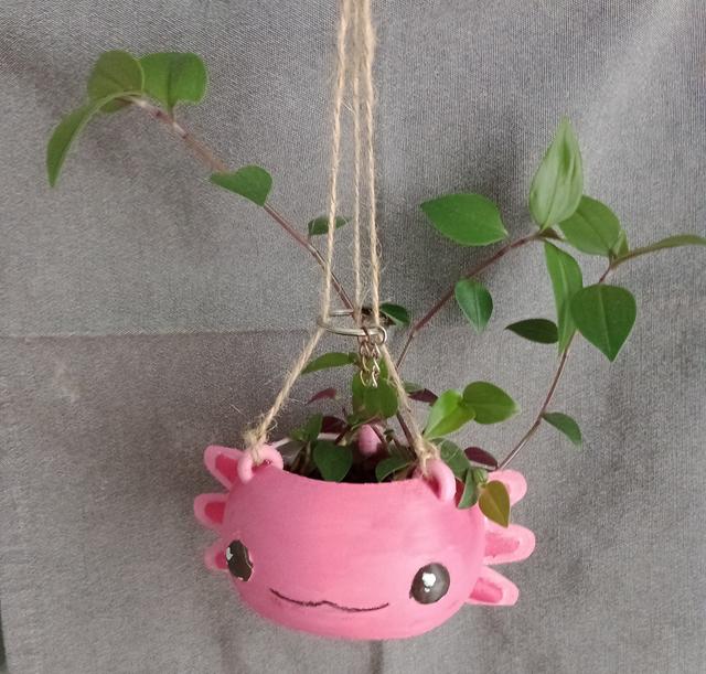 Axolotl - Hanging plant pot 3D model thumbnail