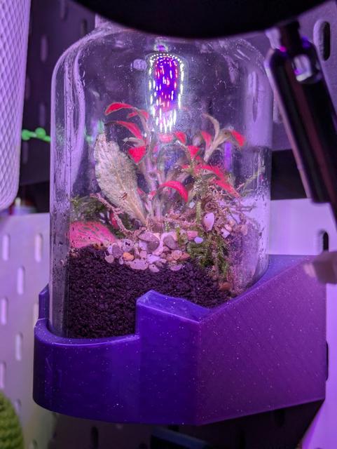 Skadis mounted florarium holder (80mm jar) 3D model thumbnail