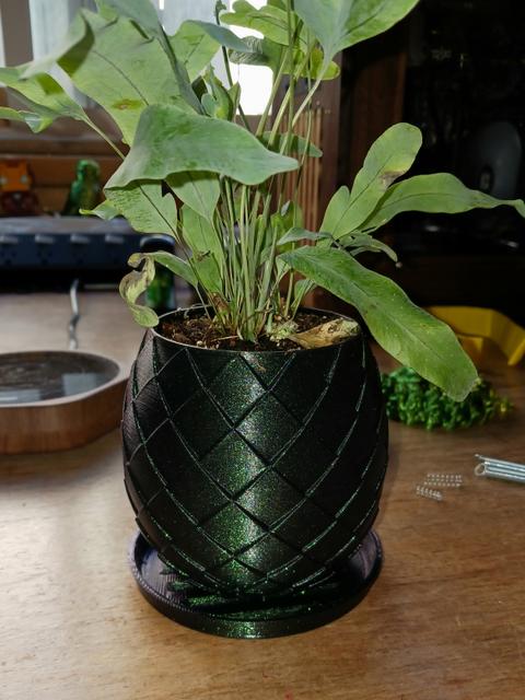 Dragon Egg Plant Pot 3D model thumbnail