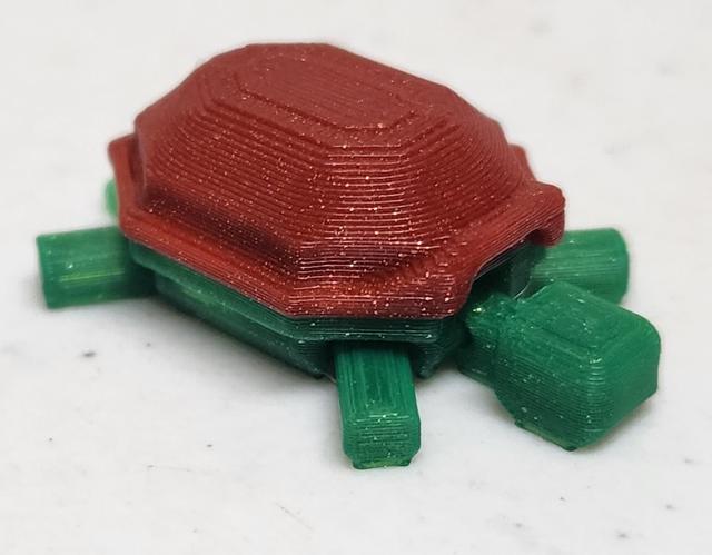 Taller Tortoise 3D model thumbnail