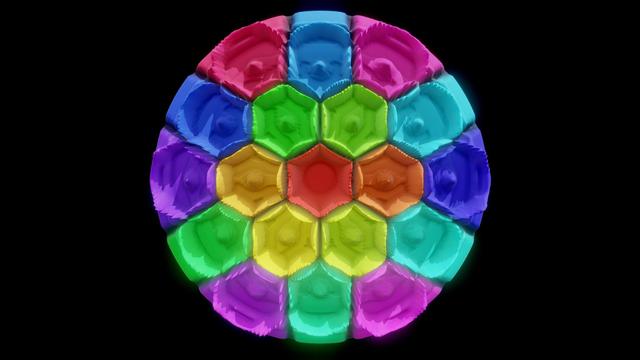 FlowerOfLife_19_Rainbow_64Spoke_V2 3D model thumbnail