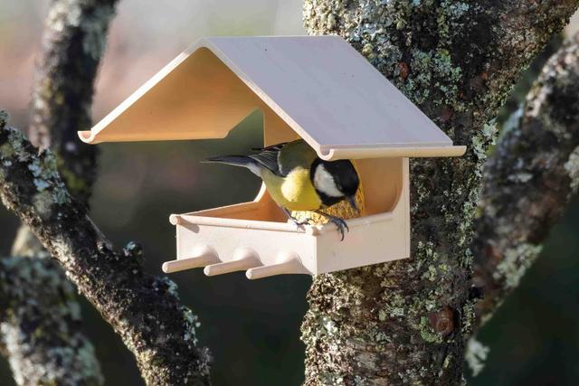 Mangeoire à oiseaux Support boule de graisse / Bird feeder fat ball holder 3D model thumbnail
