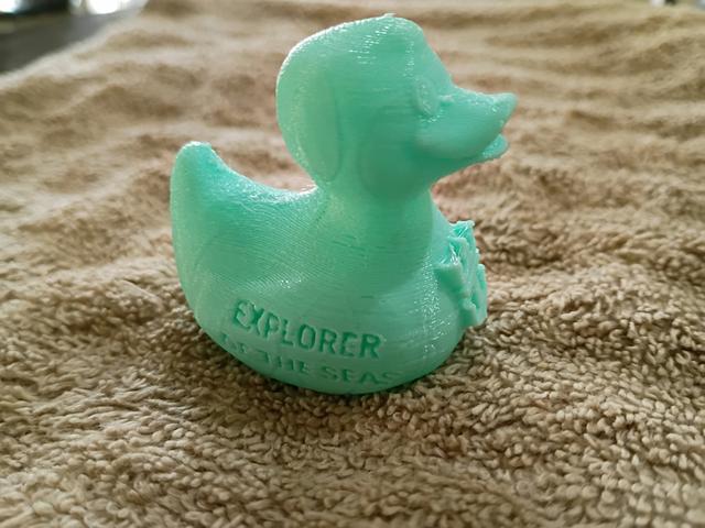 Cruise duck RC 3D model thumbnail