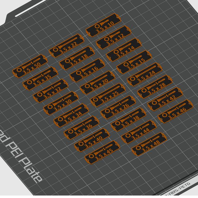 Gridfinity label pack - woodscrews 3D model thumbnail