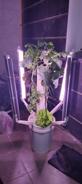 T5 T8 cable clip light grow 3D model thumbnail