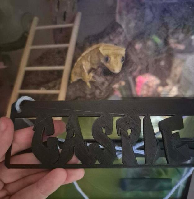 Hanging Nameplate (for pets) 3D model thumbnail
