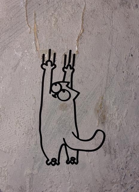 cat scratch 3D model thumbnail