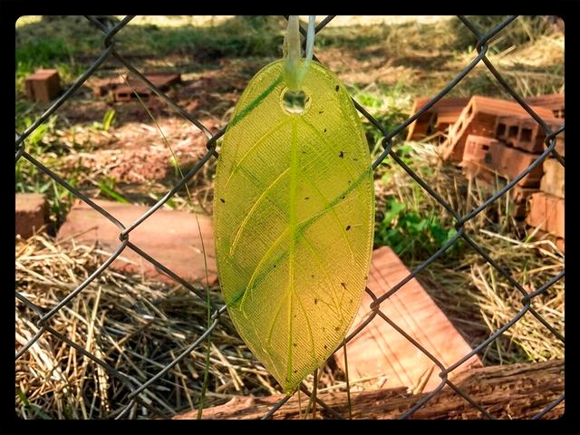 Sticky Leaf Trap for Organic Pest Control (Yellow/Blue) 3D model thumbnail