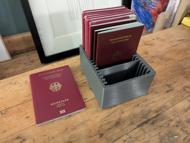 Multi‑Passport Holder with 16 Compartments 3D model thumbnail