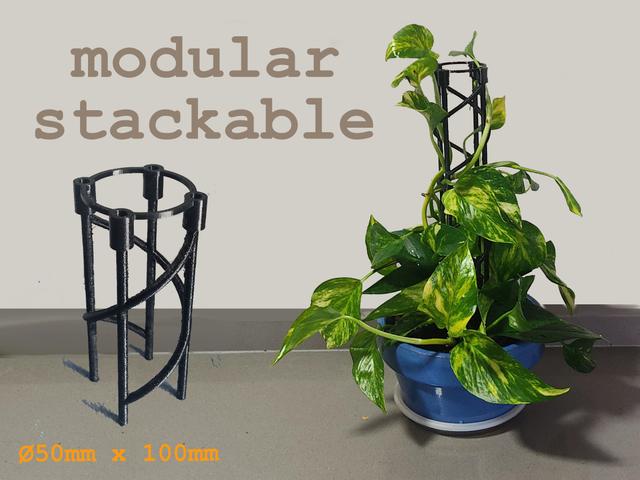 Tutor plants 3D model thumbnail
