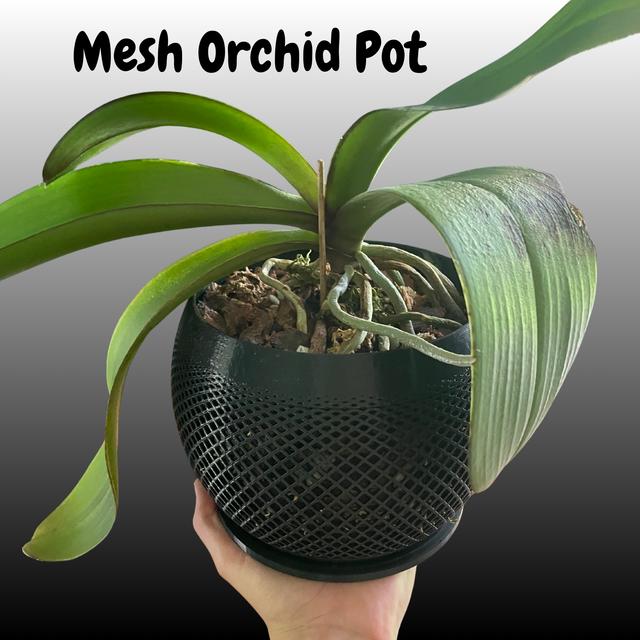Orchid Pot (Scalable) 3D model thumbnail