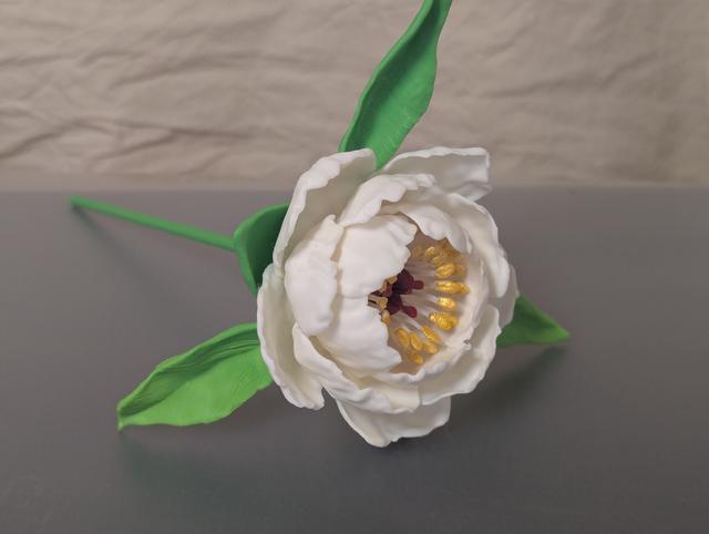 Paeonia, sp (Peony) 3D model thumbnail