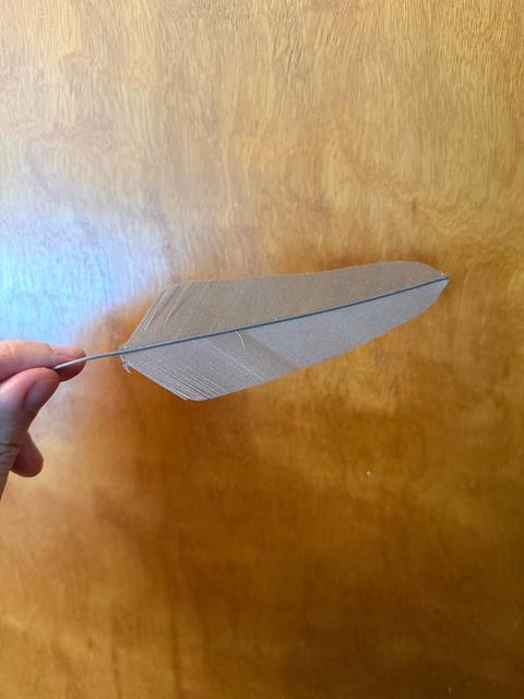 Parametric feather 3D model thumbnail