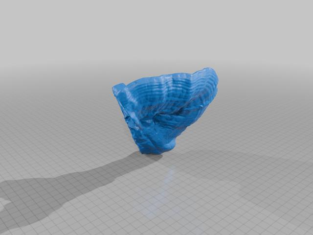 Reishi (Ganoderma) mushroom, half 3D model thumbnail