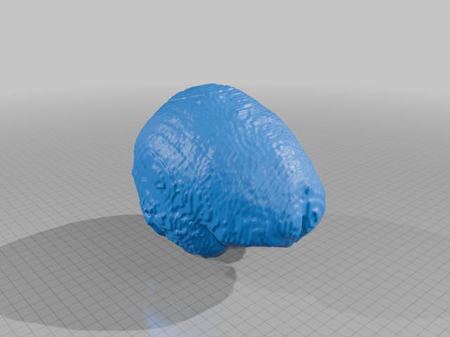 Brain V 2.0 3D model thumbnail