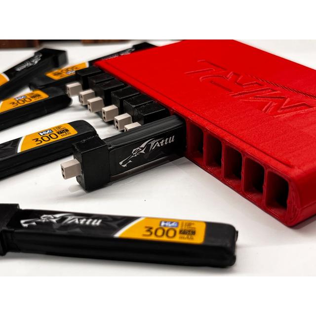 LIPO CASE FOR 12 LIPOS 1S 3D model thumbnail
