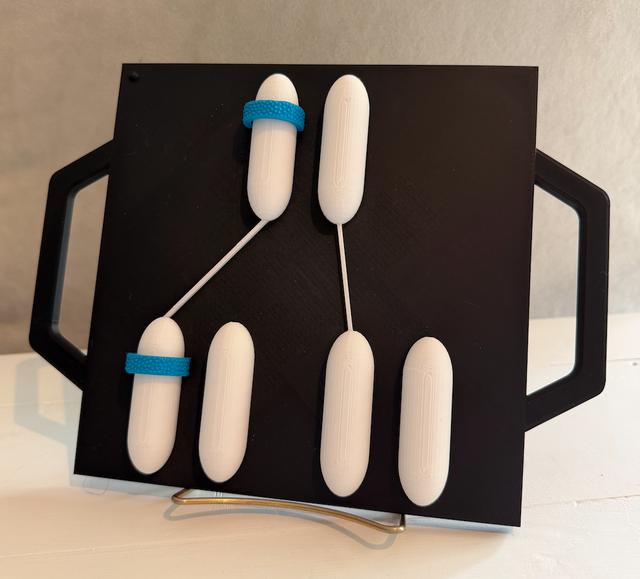 Autosomal Dominant Inheritance 3D model thumbnail