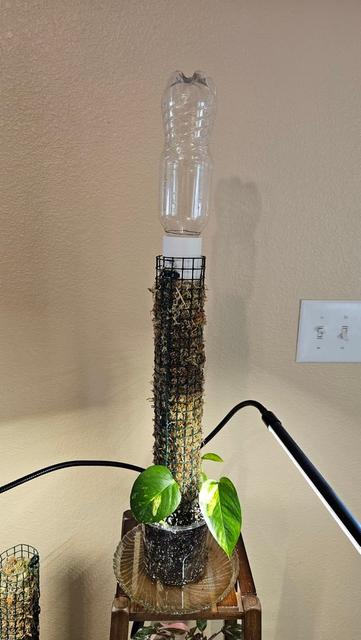 Moss Pole Drip Water System 3D model thumbnail