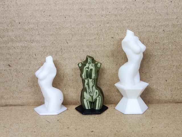 Female Body for Prusa balance game 3D model thumbnail