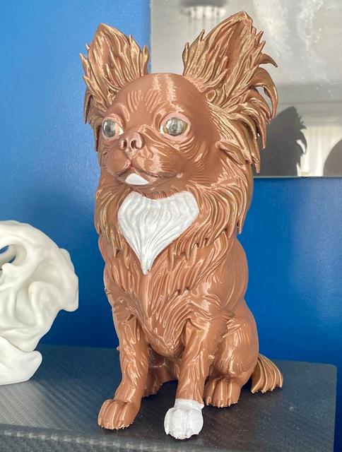Long-haired realistic Chihuahua  3D model thumbnail