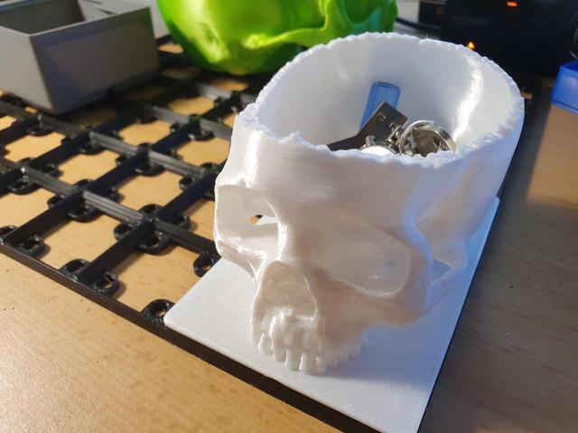 Gridfinity Realistic Skull Bowl 3D model thumbnail