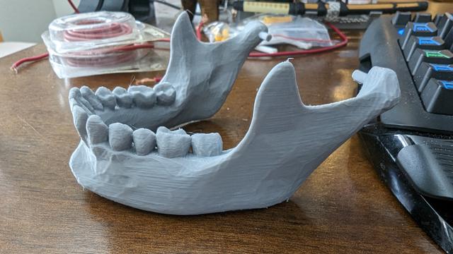 Anatomically correct human skull lower jaw remix 3D model thumbnail