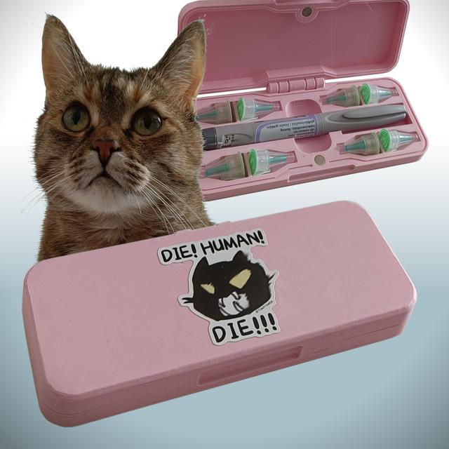 Insulin pen case 3D model thumbnail