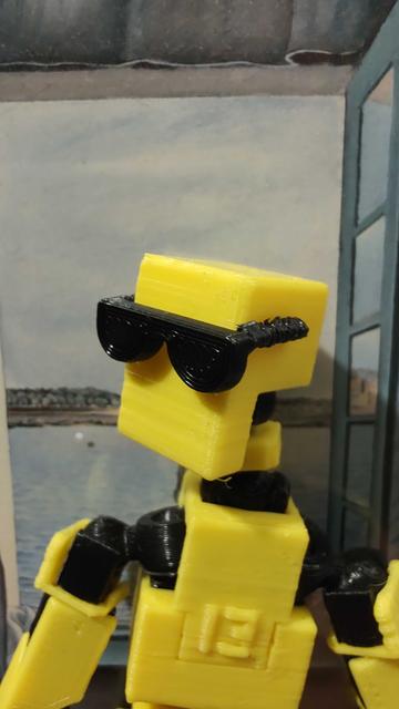 Lucky 13/Mini 13 Sunglasses 3D model thumbnail
