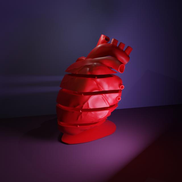 Anatomical heart jewelry box with stand 3D model thumbnail