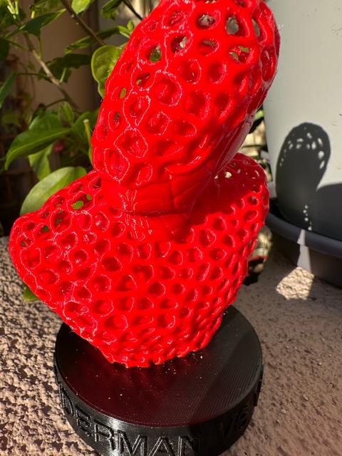 Spider-Man vs Voron 3D model thumbnail