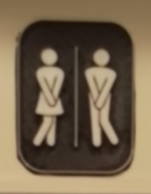 WC Schild 3D model thumbnail
