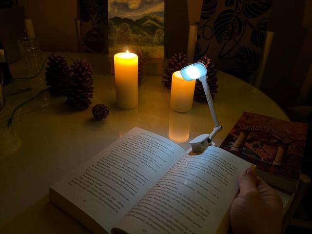 Clip-On Book Lamp (3D Printed) 3D model thumbnail