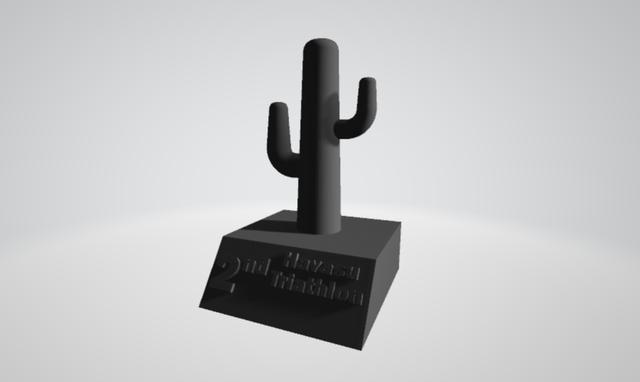 Havasu Arizona Race Triathlon Trophy 3D model thumbnail