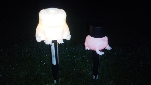 Solar Light Globe - Fred the Frog 3D model thumbnail