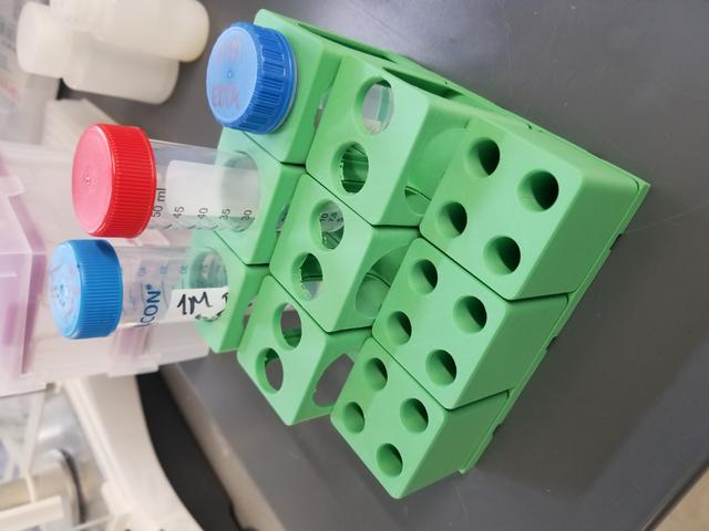 Bio Lab Gridfinity Refined 3D model thumbnail