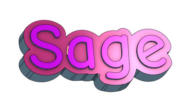 Crocs Charm Nametag - Sage & Stony 3D model thumbnail