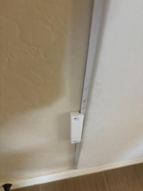 Doggie Door Wall Holder (Simple Storage Mount) 3D model thumbnail