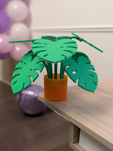 Remixed Planter for Monstera coaster plant 3D model thumbnail